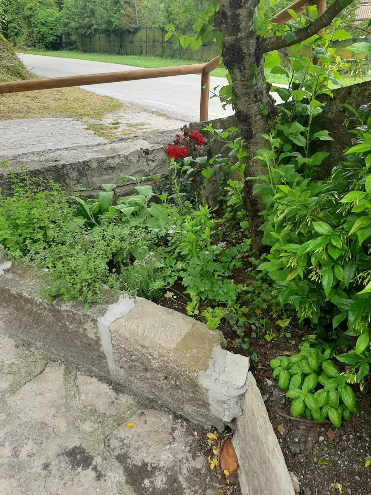 Appartement Il Caminetto à Carpinone Extérieur photo